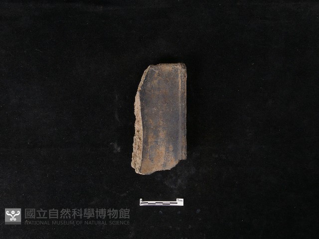 瓦片藏品圖，第1張