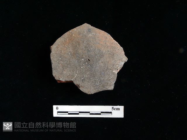 陶片藏品圖，第2張