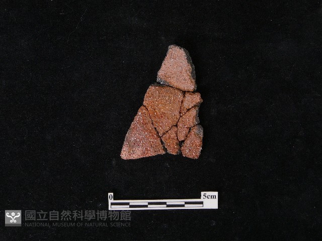陶片藏品圖，第2張
