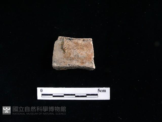 硬陶蓋藏品圖，第2張