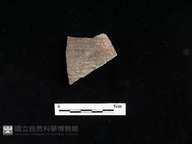 陶片藏品圖，第1張