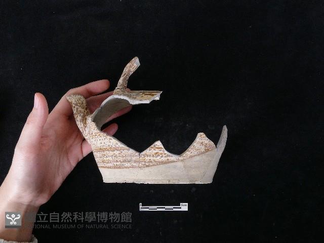 陶壺藏品圖，第2張