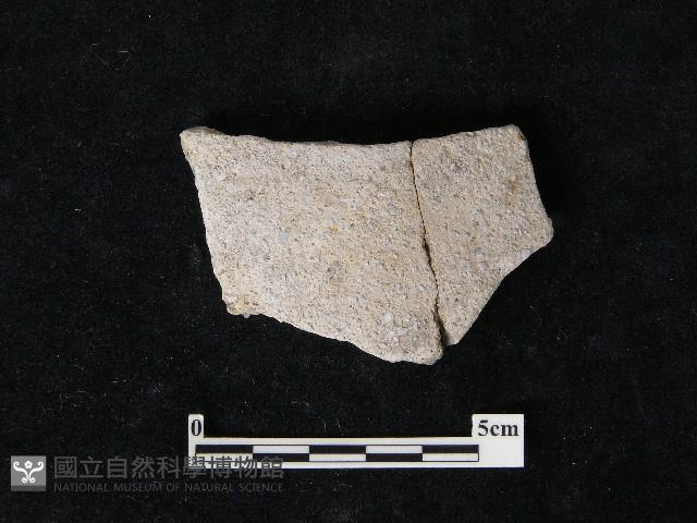 陶片藏品圖，第2張