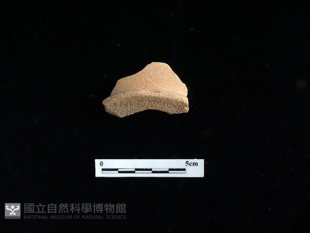 陶片藏品圖，第2張