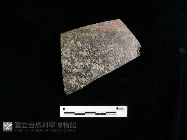 Accession Number:TGPC-4-SW027 Collection Image, Figure 1, Total 2 Figures