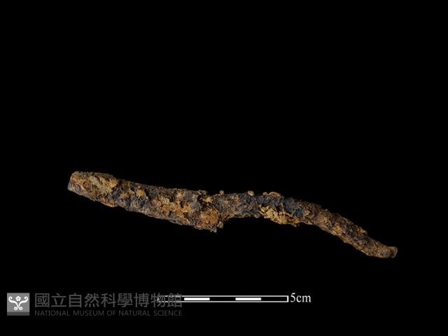 鐵條藏品圖，第1張