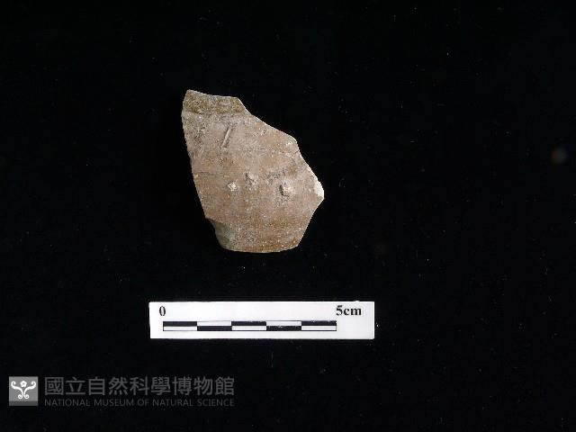 陶片藏品圖，第1張