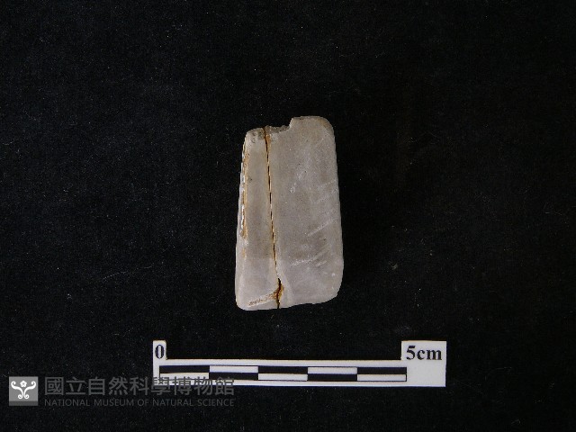 錛鑿形器藏品圖，第2張