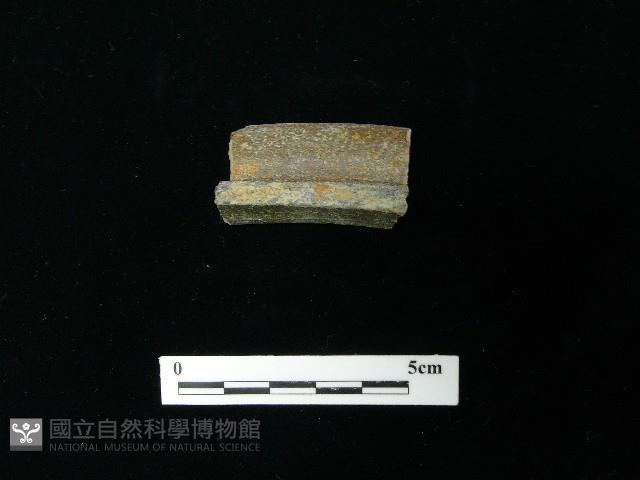 陶片藏品圖，第1張