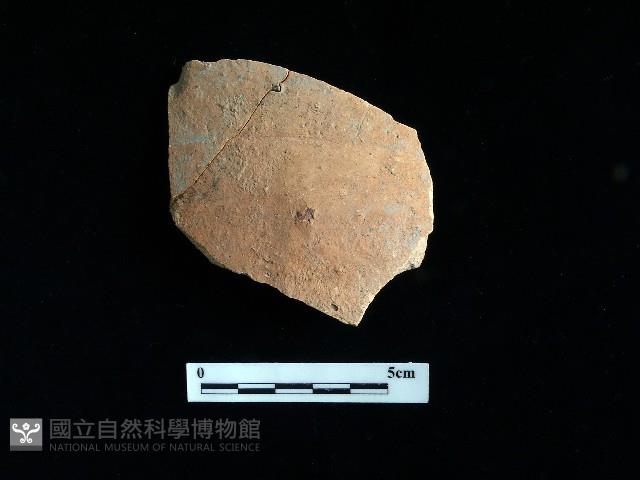 陶片藏品圖，第2張