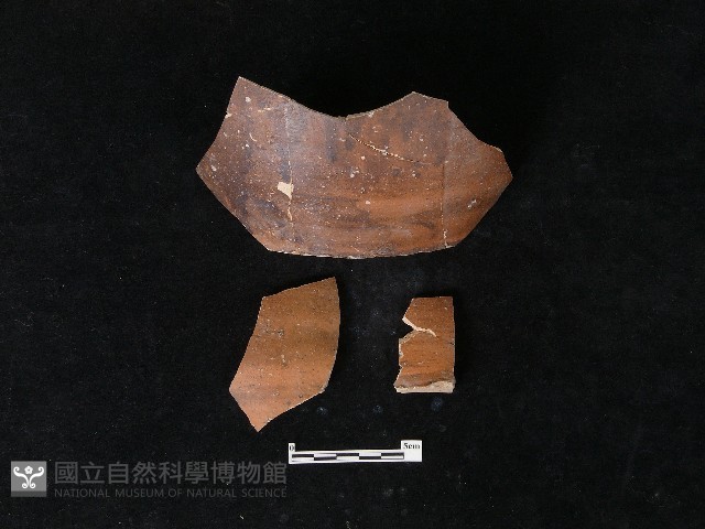 陶片藏品圖，第2張