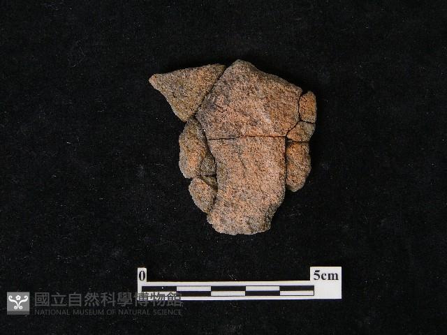 陶片藏品圖，第1張