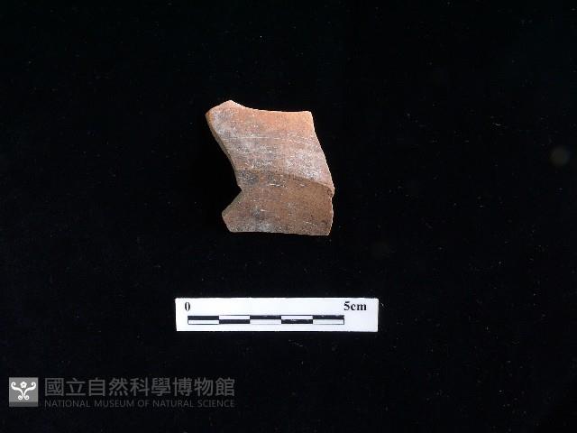 陶片藏品圖，第1張