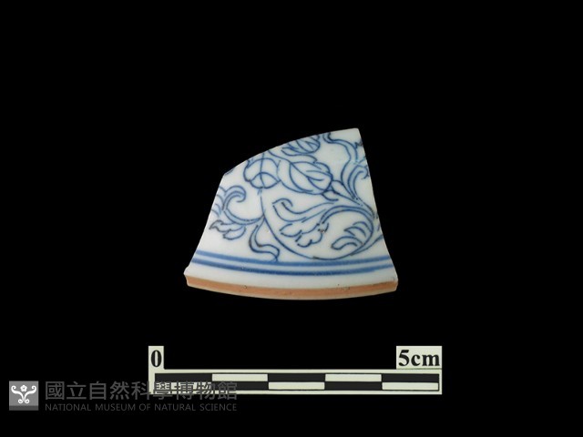 帶紋飾瓷片藏品圖，第1張