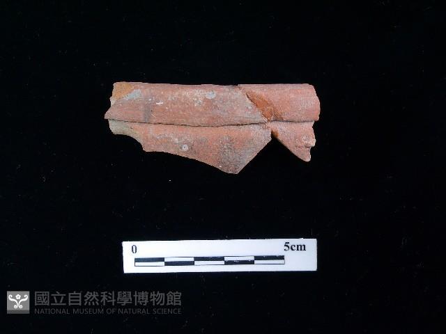 陶片藏品圖，第2張