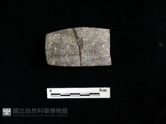 陶片藏品圖，第1張