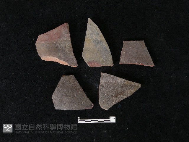 陶片藏品圖，第1張