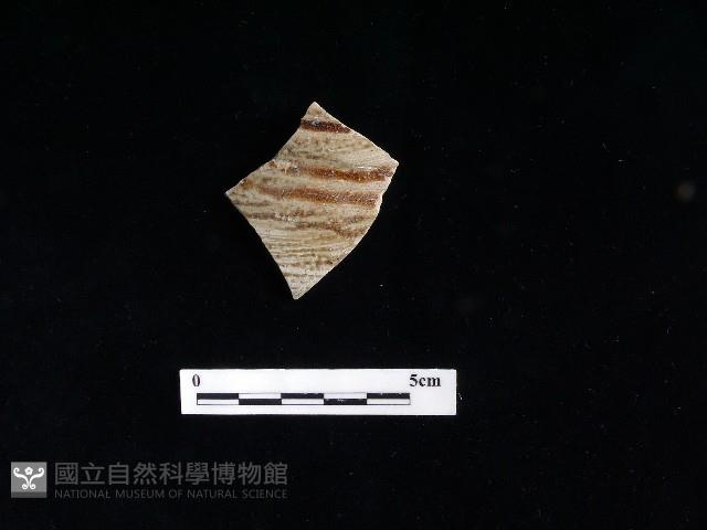 陶片藏品圖，第2張