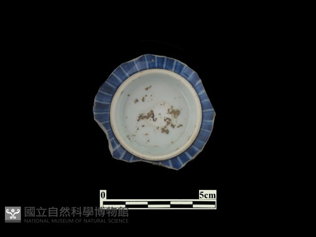 帶紋飾瓷片藏品圖，第1張