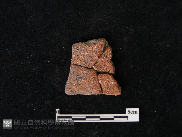 陶片藏品圖，第2張