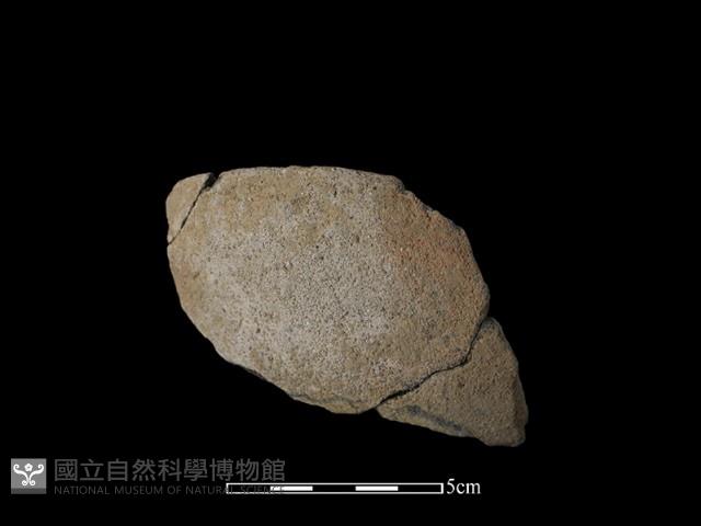 陶缽藏品圖，第2張