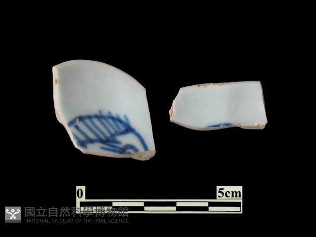 帶紋飾瓷片藏品圖，第1張