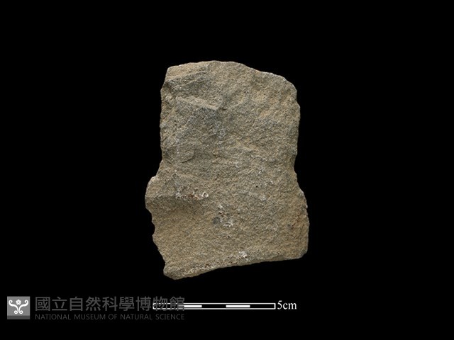 斧鋤形器藏品圖，第1張