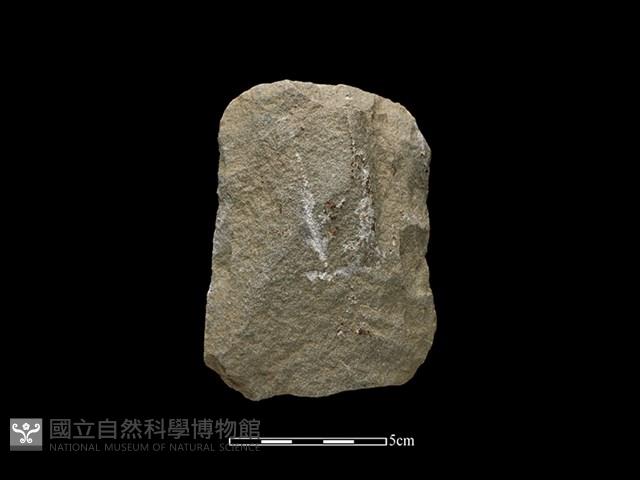 斧鋤形器藏品圖，第1張