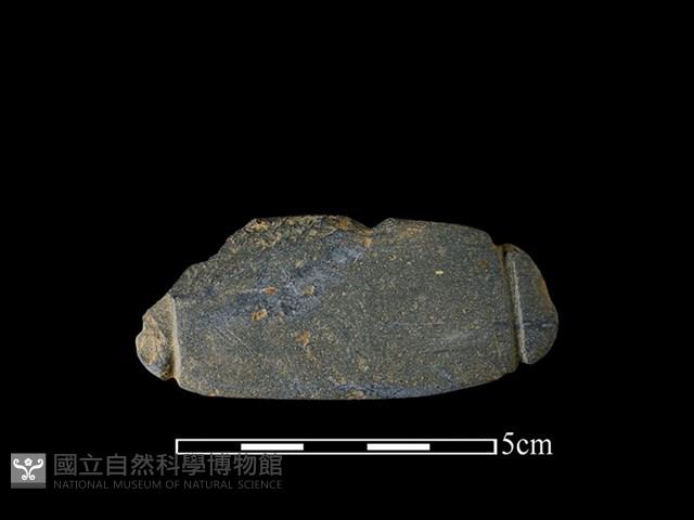 網墜藏品圖，第1張