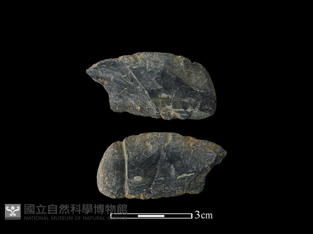 網墜藏品圖，第1張