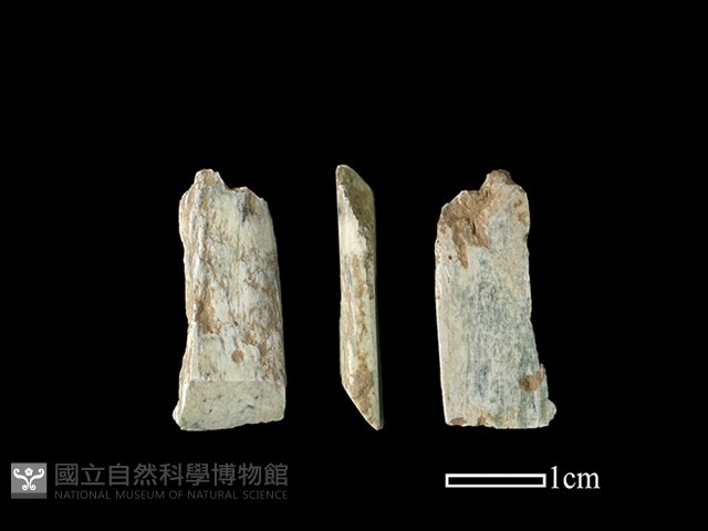 錛鑿形器藏品圖，第1張