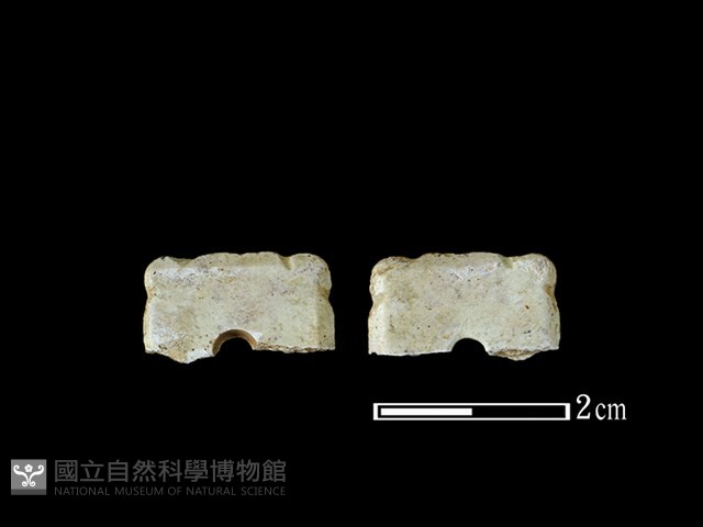 玉墜飾藏品圖，第1張
