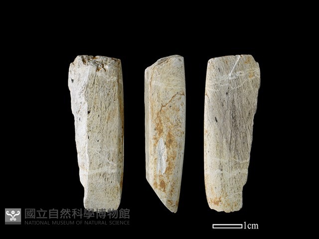 錛鑿形器藏品圖，第1張