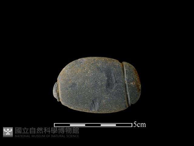 網墜藏品圖，第1張