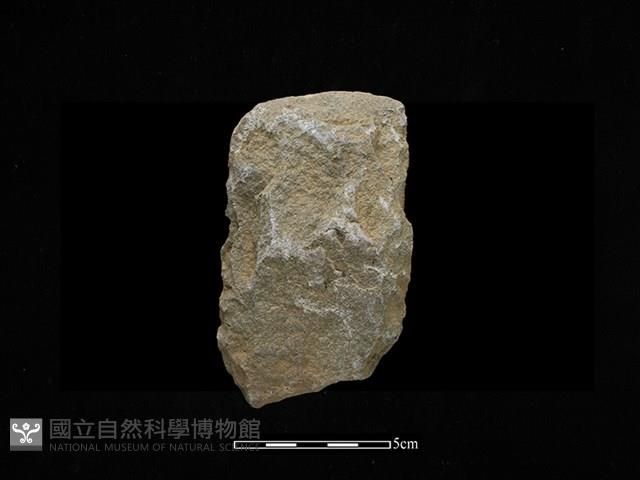 Accession Number:SWK-2020-067 Collection Image, Figure 1, Total 2 Figures