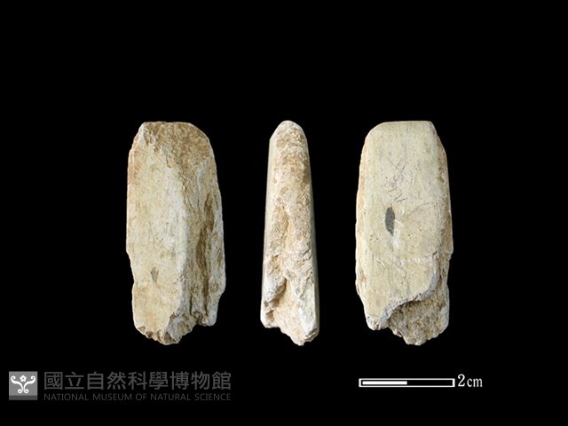 錛鑿形器藏品圖，第1張