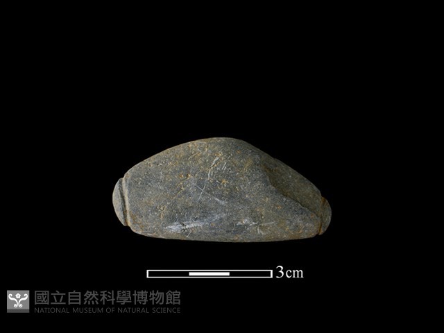 網墜藏品圖，第1張