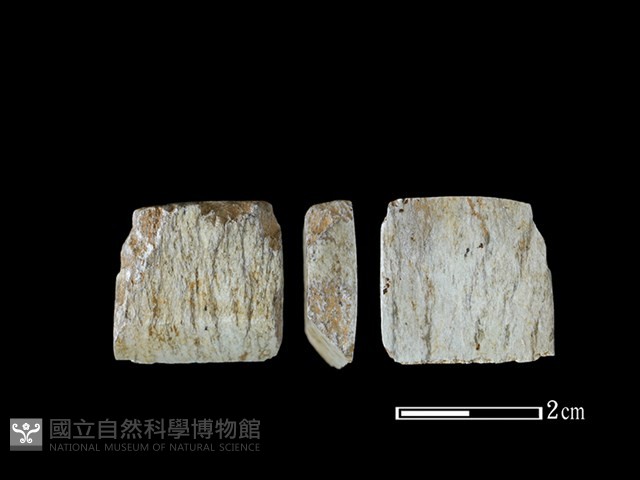 錛鑿形器藏品圖，第1張
