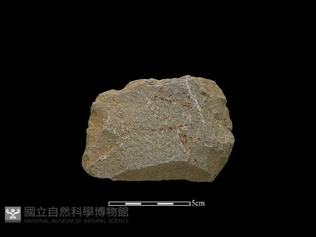 Accession Number:SWK-2020-087 Collection Image, Figure 1, Total 2 Figures