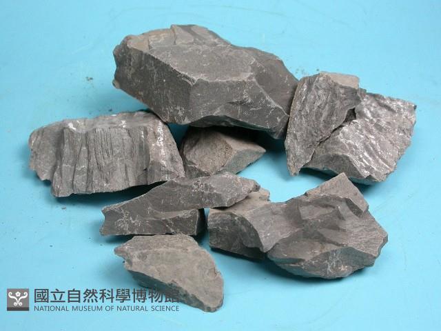 泥岩藏品圖，第4張