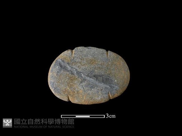 網墜藏品圖，第1張