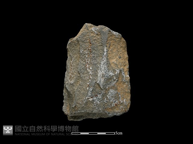 斧鋤形器藏品圖，第1張