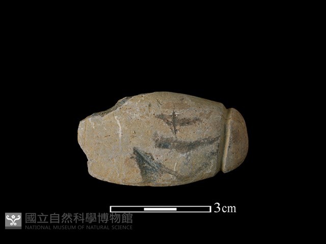 網墜藏品圖，第1張