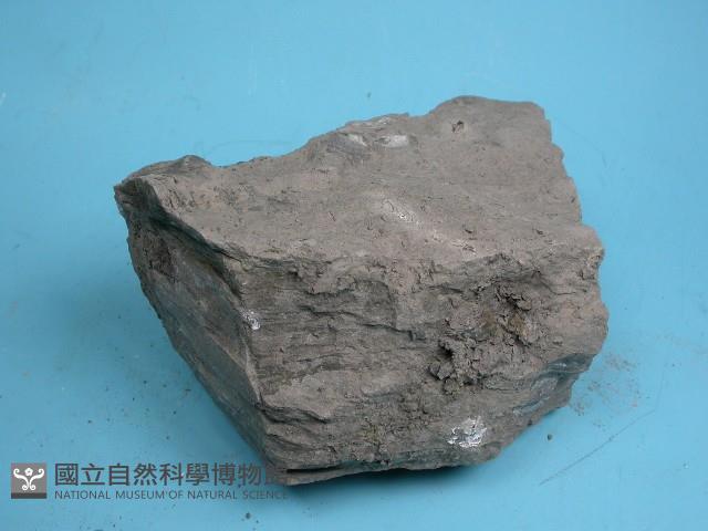 泥岩藏品圖，第5張
