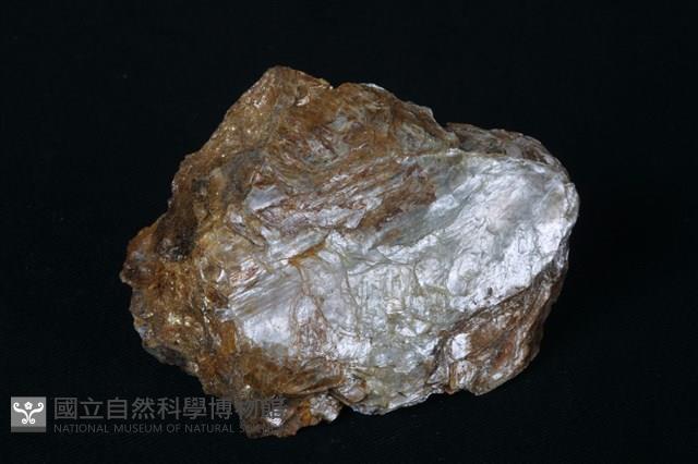 白雲母藏品圖，第1張