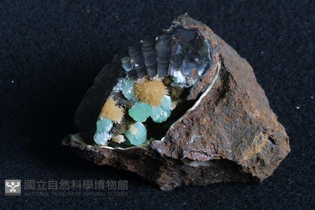 斜磷鈣鐵礦藏品圖，第1張
