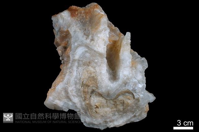 鐘乳石藏品圖，第1張