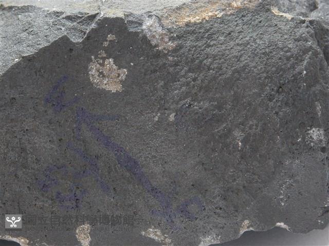 玄武岩藏品圖，第1張