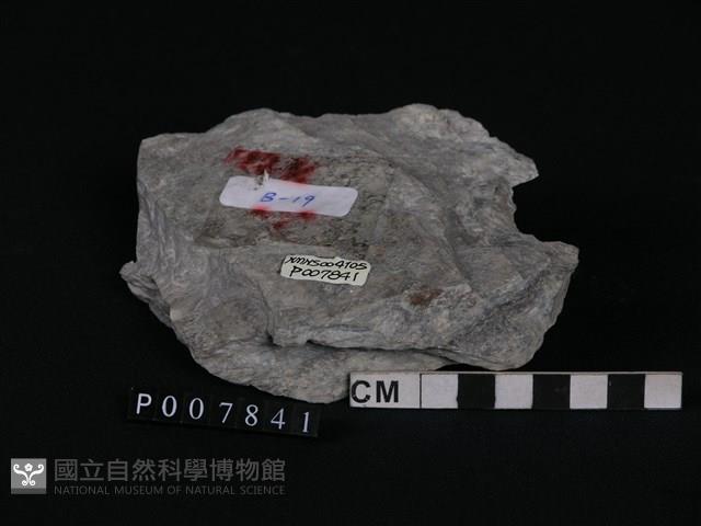 矽質片岩藏品圖，第1張