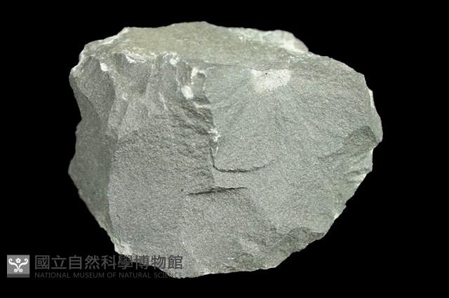 鹼性玄武岩藏品圖，第1張